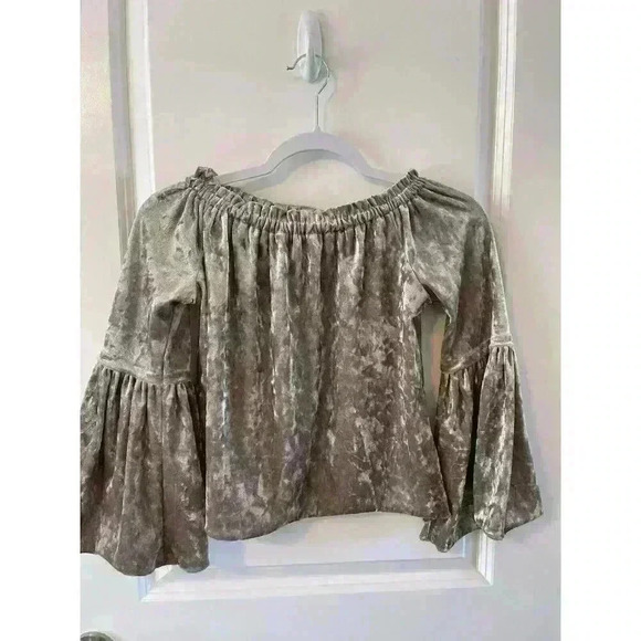 Altard State Velvet Off Shoulder Top Pink size Small Bell sleeve Velour - Picture 4 of 7